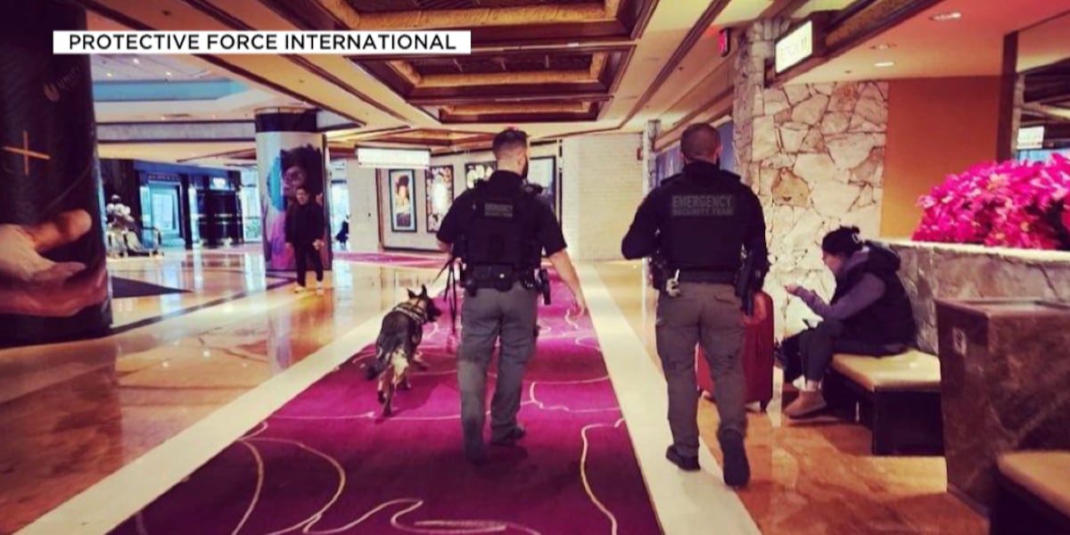 Armed, private security company partners with 18 Las Vegas casinos